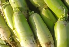 试管移植后饮食上要注意什么?不可以吃哪些东西?