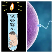 踏上第三代试管之旅前：深入思考的几大关键问题