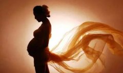 什么是AmH值？女性应该如何调理以及进行试管怀孕？