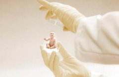 热点 || 试管“移”错人，法律怎么说