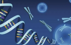 为什么试管如此昂贵?费用到底花在了哪？