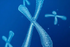 上海试管费用究竟有多高？这三家医院给出答案！