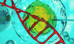 如何降低试管的费用？4大诀窍来帮您！