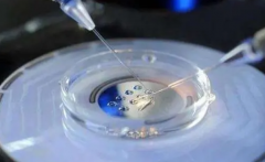 二代试管技术成功率到底有多高，一分钟带你了解！