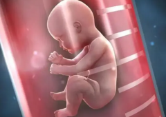第三代试管一定是男孩？没有科学依据