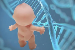 上海试管价格指南来了，降低费用有妙招！