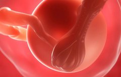 试管选男女靠谱吗?试管生'男'孩成功率有多高?