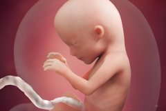 试管的费用包含哪些?试管需要准备多少钱?