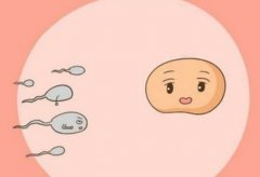 试管婴儿第三代技术有哪些新内容？黄山试管第三代一般多少钱？