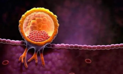 三代试管生'男'孩多，还是生女孩多？看完这个男女比例就知道了！