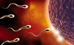 高龄群体能否尝试第三代试管？一分钟速览适用人群范围