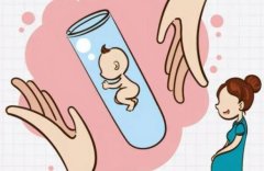 排名靠前的试管婴儿医院有哪些优势？成功率的因素有哪些？