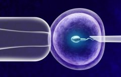 南京做试管成功率如何？需要注意哪些事项？