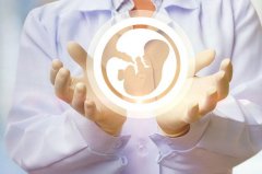 做试管要多少钱？能用社保吗？