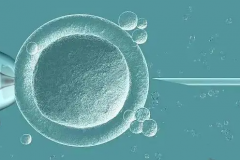 一文带你读懂三代试管，附费用介绍！