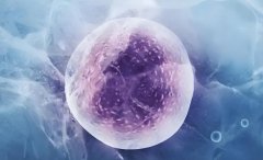 国内第一例试管相关信息，国内第一例试管水平怎么样?