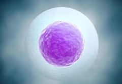 上海哪些试管医院比较有实力?上海哪家医院试管更厉害?