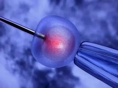 阜阳三代试管技术能否选择胎儿性别？提前洞悉潜在风险与注意事项
