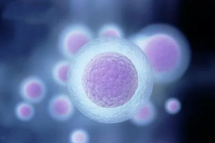 深度解读上海第九人民医院试管成功率：一文带您全面了解