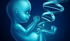 第三代试管成功率分析，附伦理和道德问题