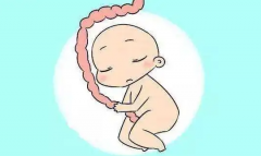 俄罗斯助孕必须关注的几大问题，不可忽视！