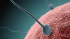 第三代和第二代试管谁更优？这些低级错误不能犯！