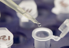 注意蚕豆病会遗传！做试管需谨慎！