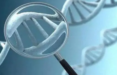 试管选性别原理详解：衡阳三代试管70%生'男'孩可信吗？