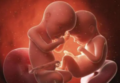 武汉三代试管医院推荐，这三家值得信赖！