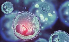 未婚能做做试管吗？读懂法规很重要！