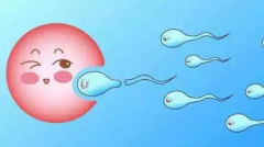 济医附院试管费用明细数据公开！