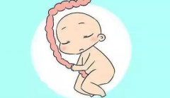 青岛试管费用明细公开！根基经济实力做好预算！