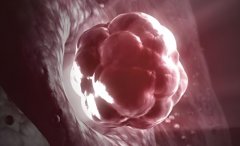 试管收费多少?复旦中山医院收费标准是怎样的?