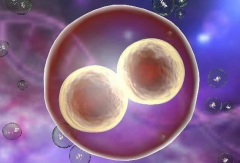 陕西三代试管成功率：理性看待“包成功”承诺，权威医院介绍为您导