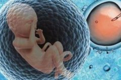 <b>南京三代试管技术简介，南京三代试管现状</b>