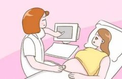 试管婴儿的步骤及相关收费，国内试管费用构成