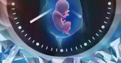 三代试管婴儿技术的优势，福州市妇幼保健院三代试管成功经验