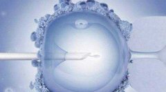 湛江哪些医院可以做三代试管？成功率多少？