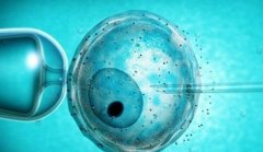 南通试管费用包含哪些项目？试管费用受哪些因素影响？