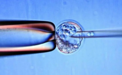 广东三代试管技术揭秘：生'男'孩费用及必须知道的注意事项！