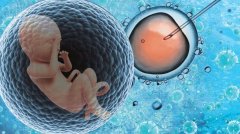 试管的极限是几次？超过这个次数还是失败怎么办？