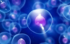 试管移植前这件事一定别做，谁做谁后悔！