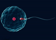 徐州三代试管技术领先医院前三甲揭晓，成功率超乎您想象的卓越！