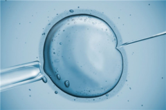 内蒙古第三代试管费用全攻略：一键解锁您的疑问，精准获取所需答案