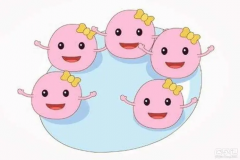 高龄女性卵泡数量有限，激素疗法或可助力改善，但三代试管前需全面