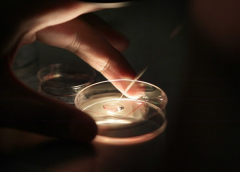 青岛三代试管费用全解析：43岁女性专属指南，费用明细一目了然