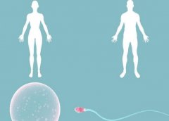 45岁进行试管受哪些关键因素影响？