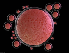 7个卵泡影响试管成功率吗？