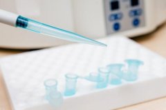 3个因素影响试管的成功，如何提高试管成功率？