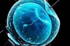 40+还可以试管吗?试管成功率怎么样?